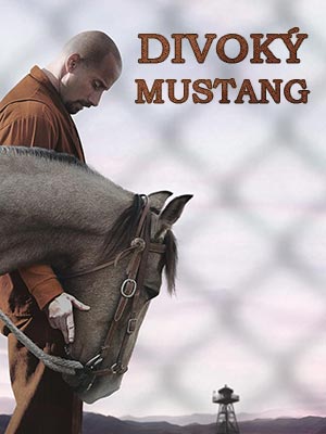Divoký mustang
