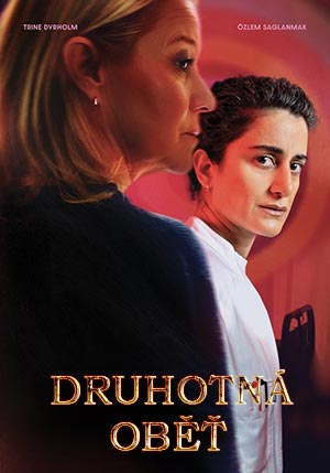 Druhotná oběť